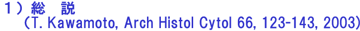 Pj@@    iT. Kawamoto, Arch Histol Cytol 66, 123-143, 2003) 