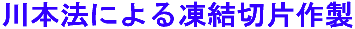 {@ɂ铀ؕЍ쐻 